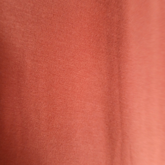 Rust Button-Down Dress - Picture 3 of 8